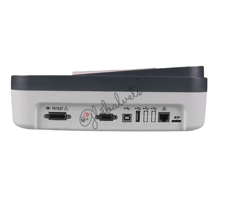 12 Channel ECG Machine for Veterinary Use