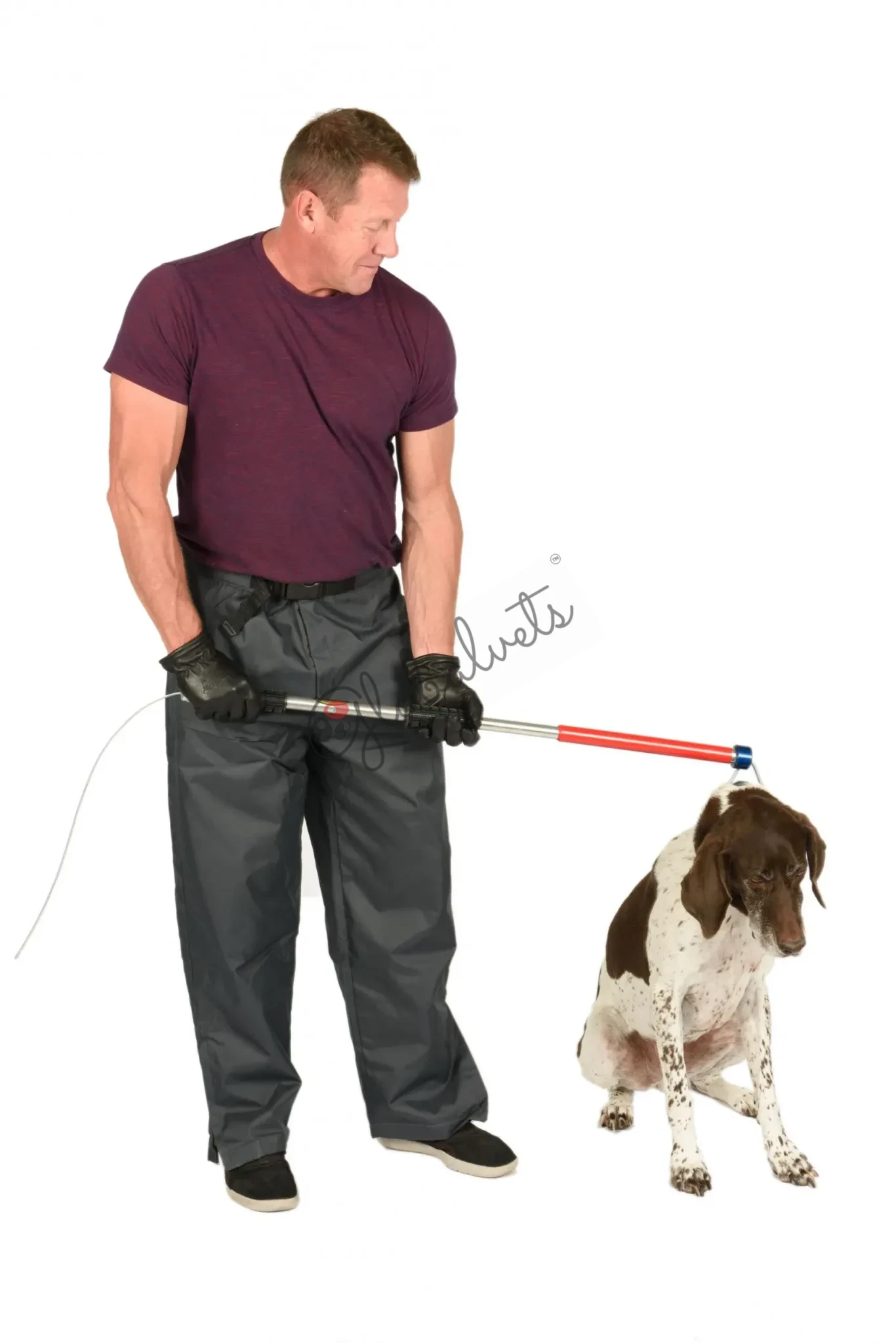 Globalvets Catch Pole