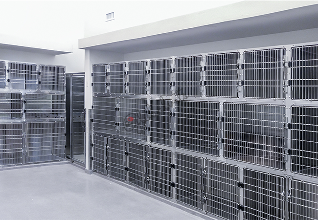 Stainless Steel Cages