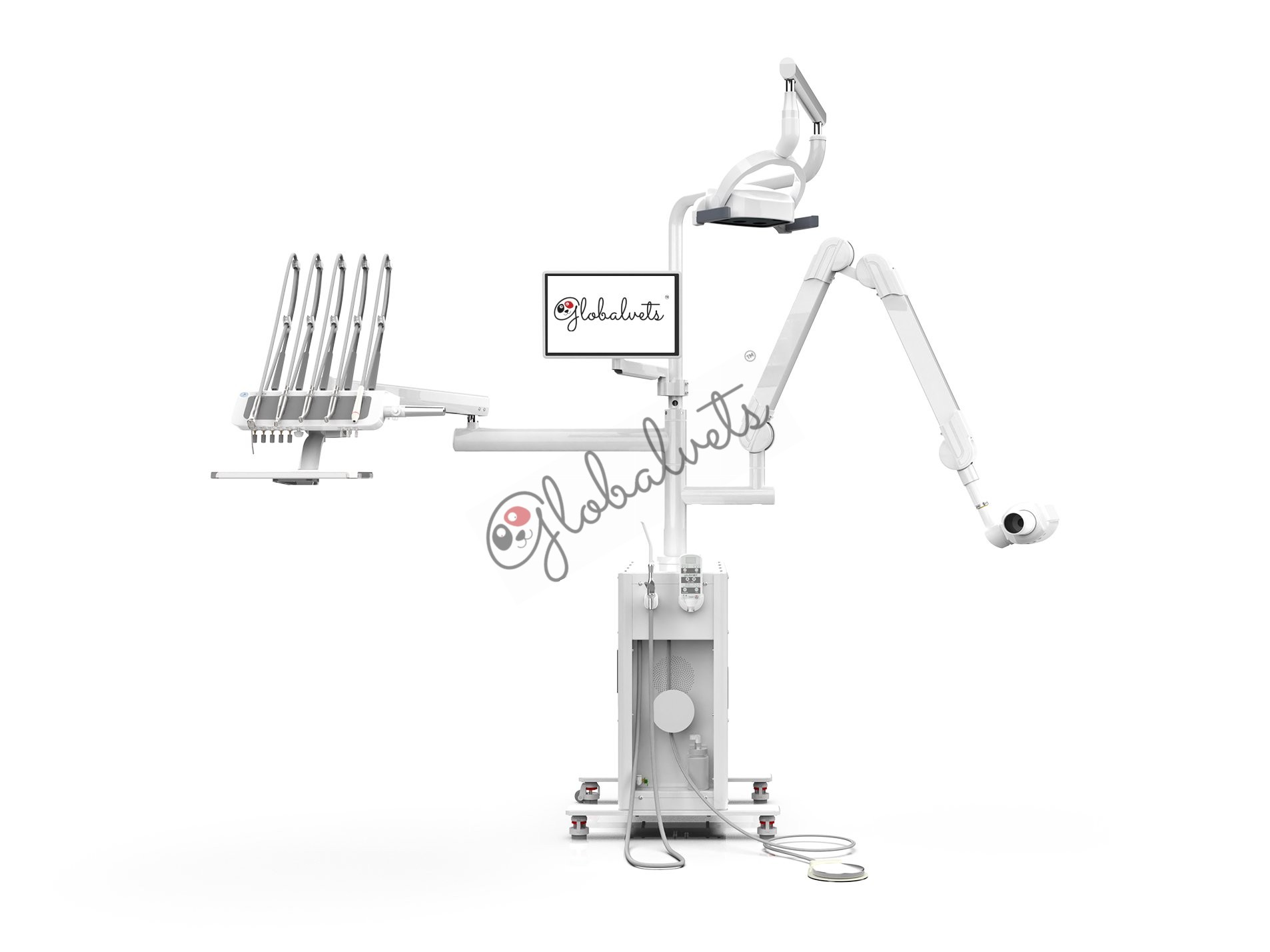 Dental Total Solution GV-100VET