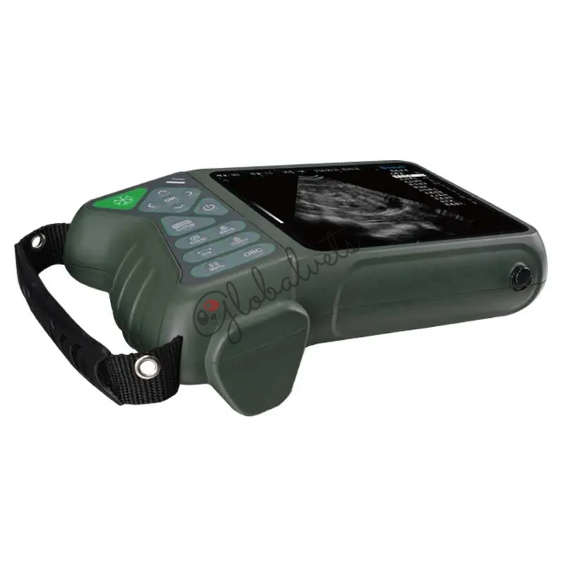 Handheld Veterinary Ultrasound for Swine & Sheep Pregnancy Testing