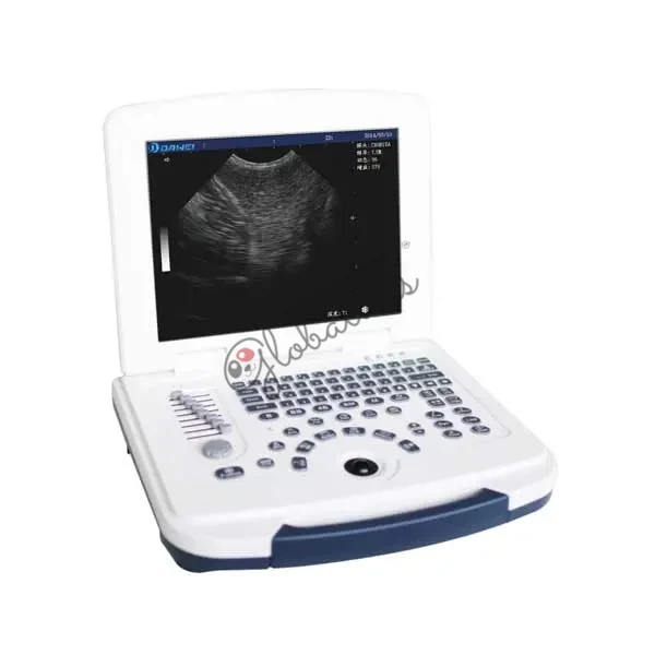 Basic Laptop Full Digital Veterinary Ultrasound System