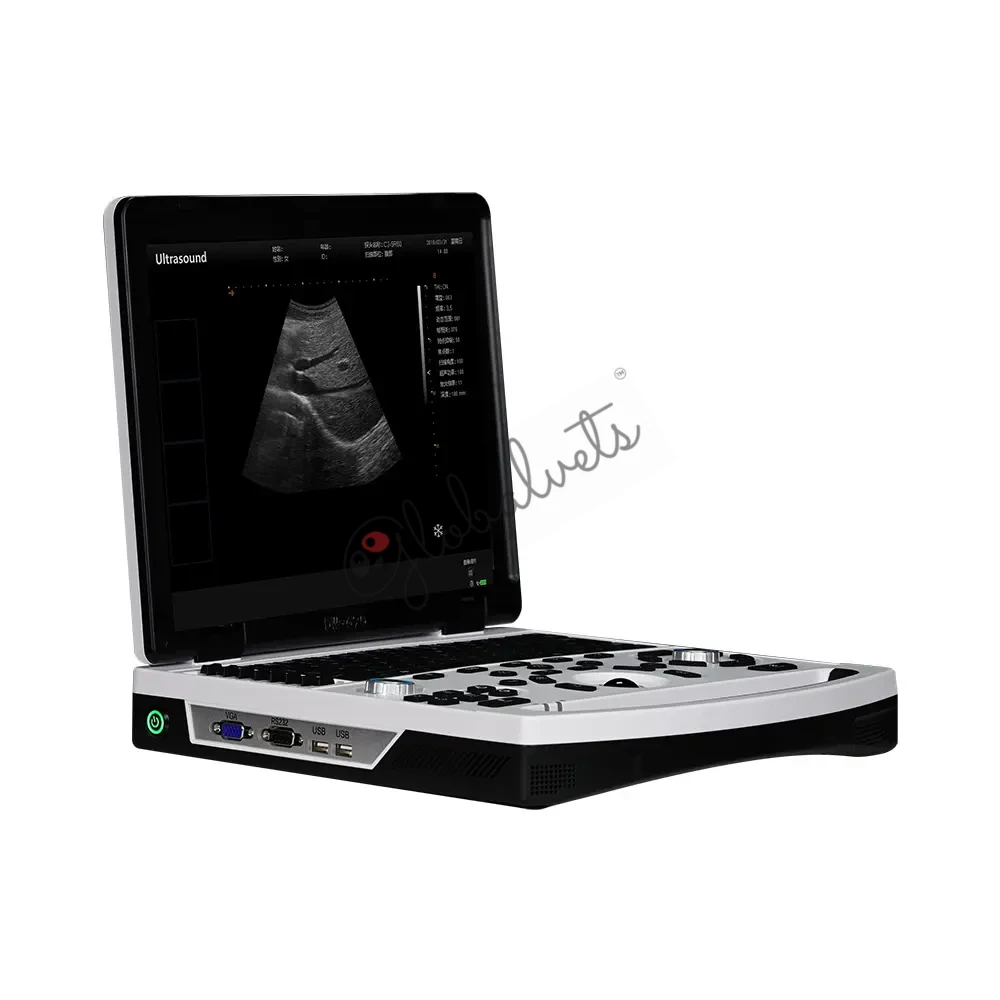 Laptop Veterinary Ultrasound Diagnostic Machine 690 Vet