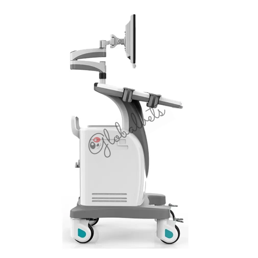 Pc Platform Trolley Full Digital Veterinary Ultrasound Diagnostic System