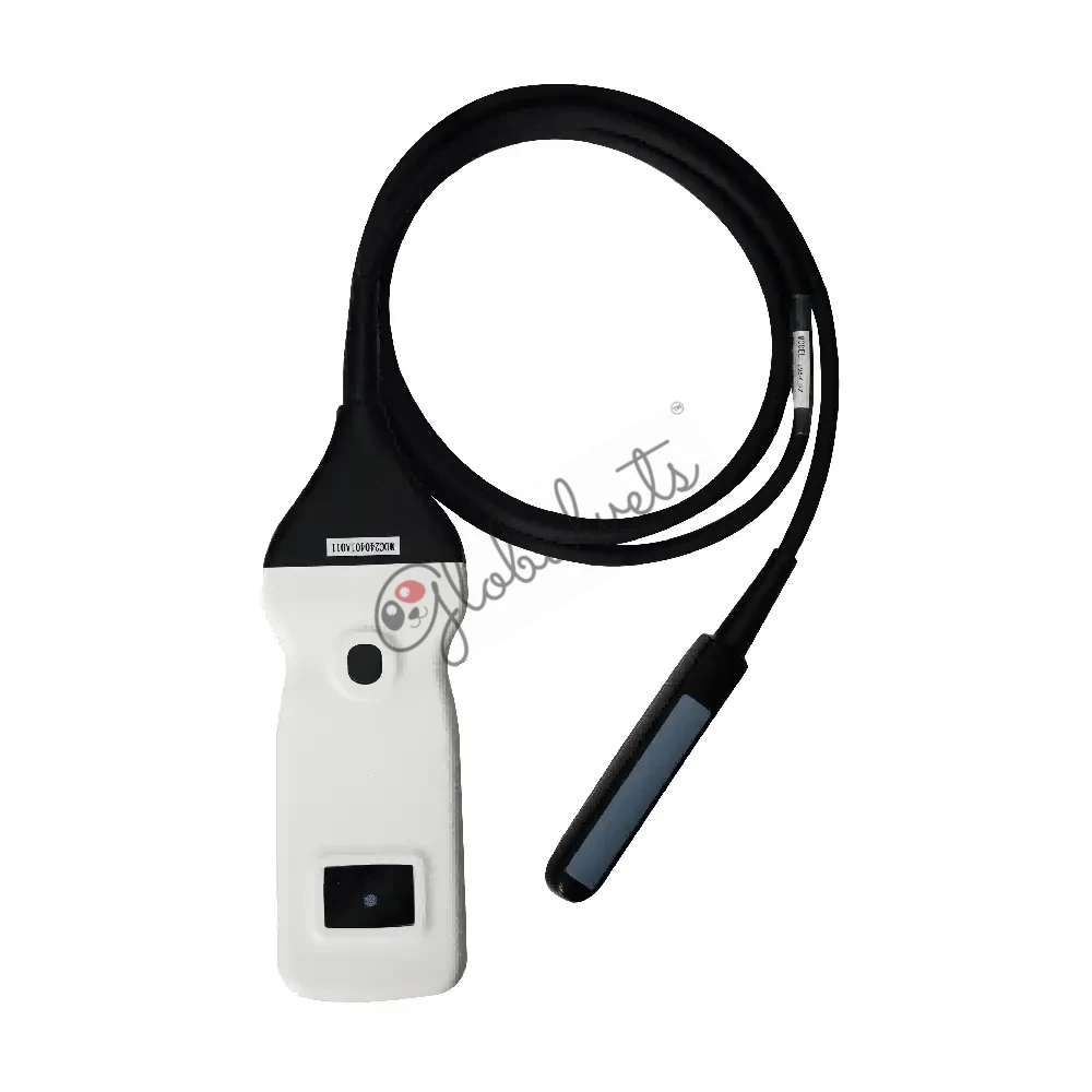 Wireless Rectal Ultrasound Probe for Equine and Bovine Reproduction