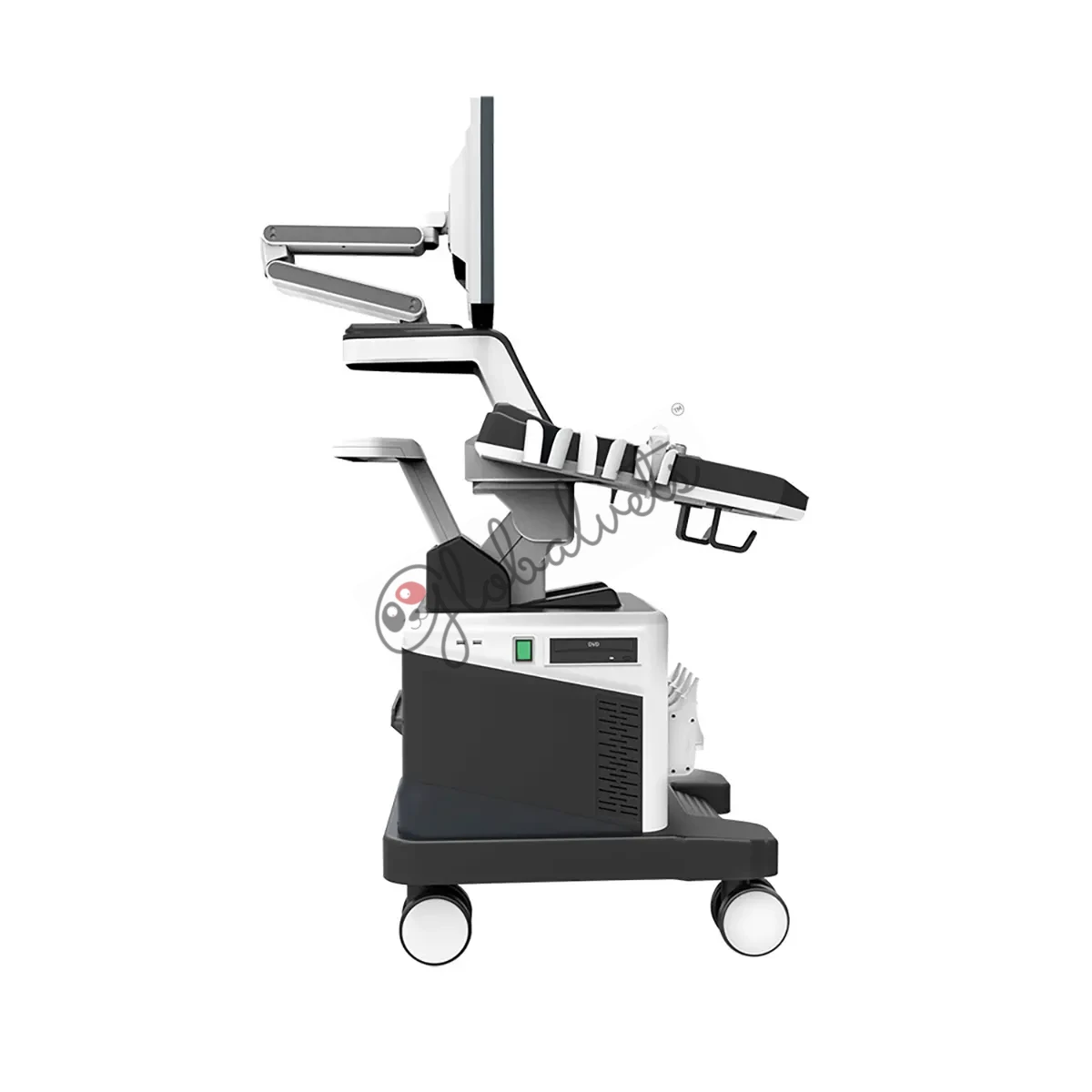 Economic Trolley Veterinary Color Doppler Ultrasonic System