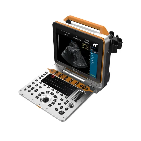 P60-VET THI TDI Doppler Ultrasound Diagnostic System for Pet Clinic