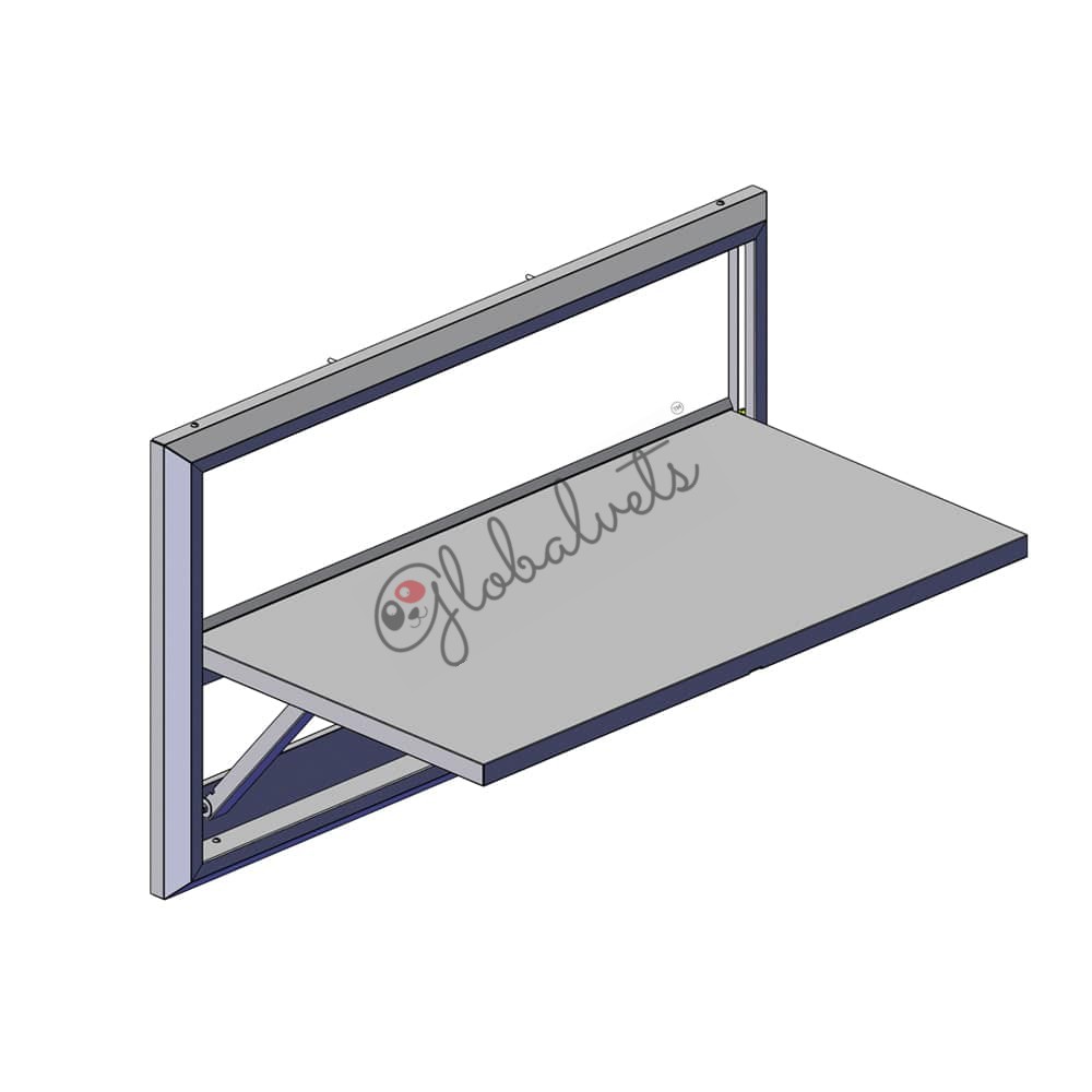 Folding Wall-Mount Exam Table #3